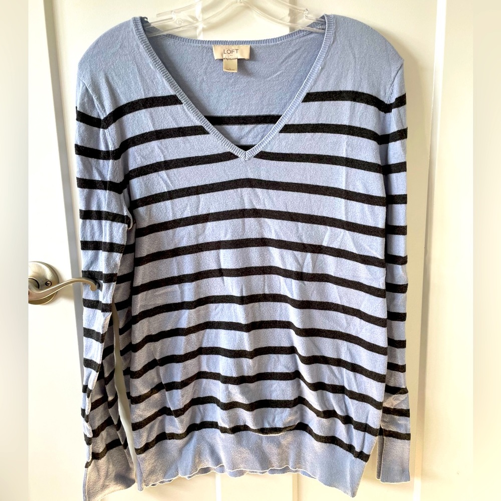 Loft Sweater V Neck